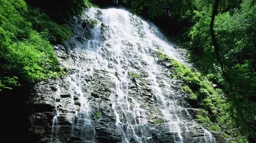 高端稳定性稳定性
